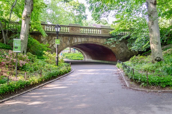 Central Park, Manhattan — Stockfoto