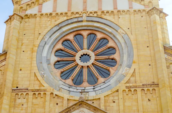 Rose window — Stock Photo, Image