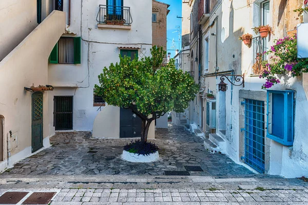 Las Pintorescas Calles Pintoresca Arquitectura Sperlonga Una Ciudad Costera Provincia — Foto de Stock