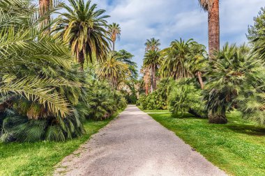 İtalya 'nın başkenti Roma' da bir halk parkında doğa tarafından çevrelenmiş manzara izleri.