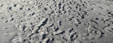 Birçok ayak izlerini her yerde kumlu bir plaj üzerinde gidiş