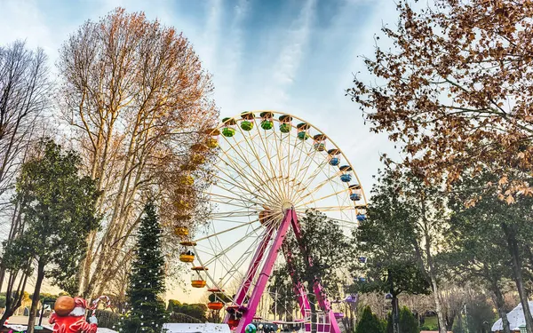 Roda Gigante Cercada Por Árvores Dentro Parque Diversões — Fotografia de Stock