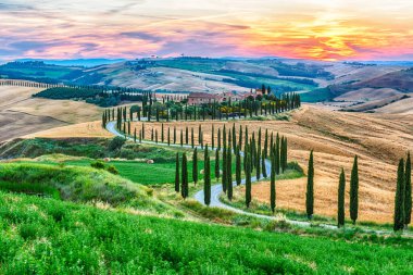 Ascanio, İtalya - 23 Haziran 2019 'da İtalya' nın Siena kenti yakınlarındaki Asciano kasabasında, Toskana 'da selvi çiçekli en ikonik manzaralardan birinin üzerinde gün batımı görüldü.