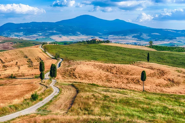 Pienza Italia Junio Paisaje Icónico Con Carretera Gladiador Cipreses Pienza —  Fotos de Stock