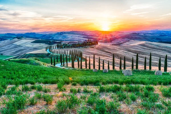 Asciano Italien Juni Szenischer Sonnenuntergang Über Einer Der Kultigsten Zypressenlandschaften — Stockfoto