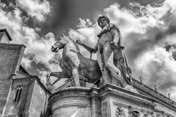 Paardenstandbeeld Van Castor Capitool Rome Italië — Stockfoto