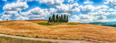 San Quirico D 'Orcia, İtalya - 23 Haziran 2019' da San Quirico d 'Orcia, Tuscany, İtalya' da görülen simgesel selvi bir grubun panoramik görüntüsü