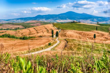 Pienza, İtalya - 23 Haziran 2019 'da Pienza, Tuscany, İtalya' da Gladyatör karayolu ve selvi manzarası görüldü. Spot, 