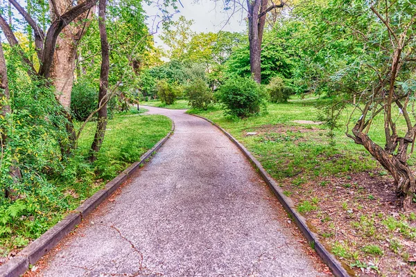 Naturskön Led Omgiven Natur Inne Offentlig Park Roms Centrum Italien — Stockfoto