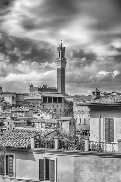 Kilátás Nyílik Festői Város Központjában Siena Egyik Nemzet Leglátogatottabb Turisztikai — Stock Fotó
