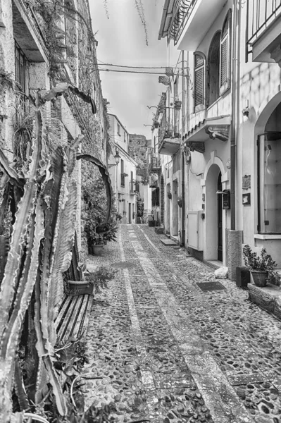 Malerische Straßen Und Gassen Küstenort Chianalea Fraktion Scilla Kalabrien Italien — Stockfoto