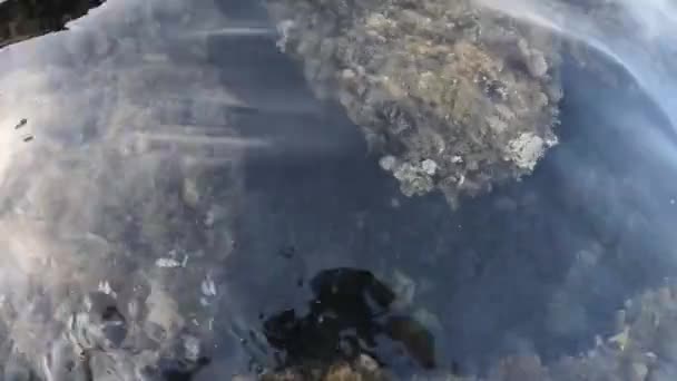 Duiken Bij Isola Bella Schilderachtig Eilandje Buurt Van Taormina Sicilië — Stockvideo