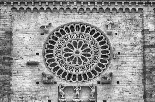 Rozeta Fasádě Středověké Katedrály Assisi Itálie Kostel Zasvěcen San Rufino — Stock fotografie