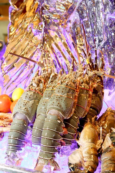 Variedade de frutos do mar frescos — Fotografia de Stock