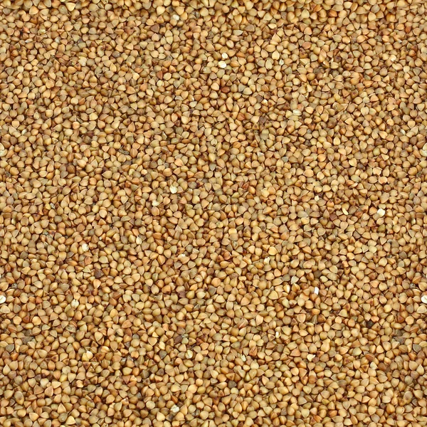 Buckwheat — Stock Photo, Image