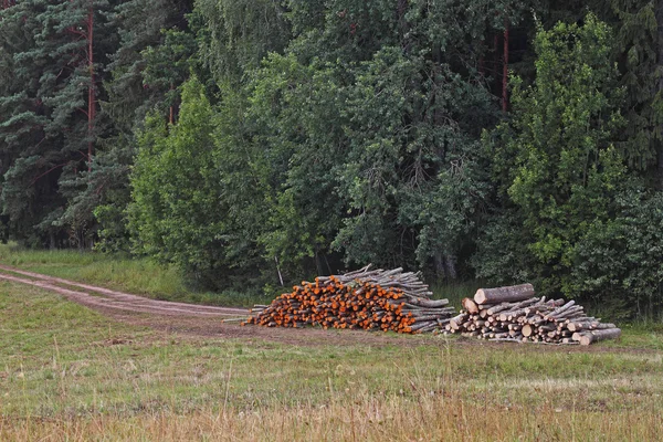 Pile di legno — Foto Stock