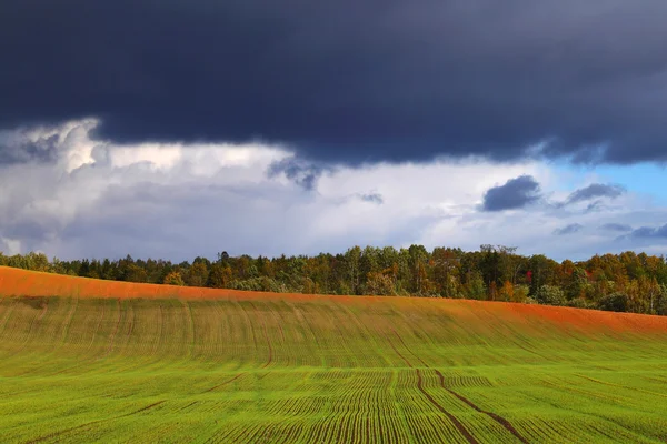 Landelijk landschap — Stockfoto