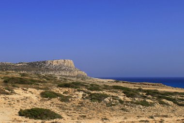Capo Greko