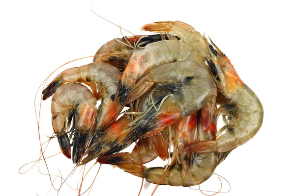 Pile of shrimps — Stock Photo, Image