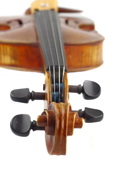 Cabeça de violino — Fotografia de Stock