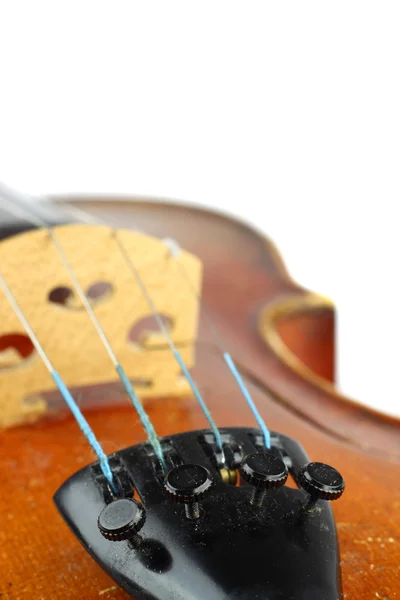 Macro violino — Fotografia de Stock