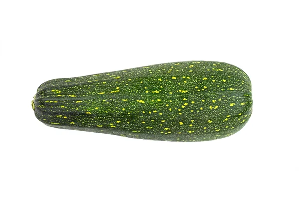 Calabaza verde —  Fotos de Stock
