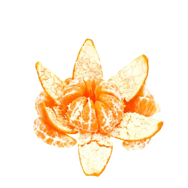 Мандариновим квітка — стокове фото