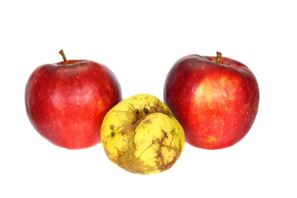 Başarısızlık