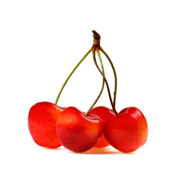 Four red cherries — Stock Photo, Image
