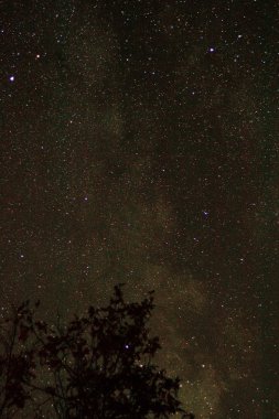 yıldızlı yıldızlı gece