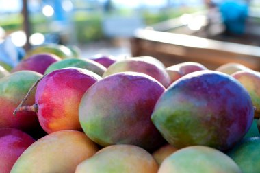 birçok Mango kapatmak