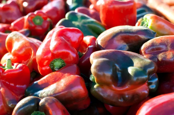 Stänga av många röd och grön paprika — Stockfoto