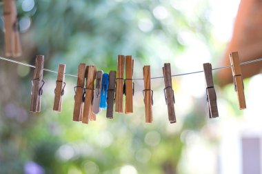 portre clothespins clothesline üzerinde asılı