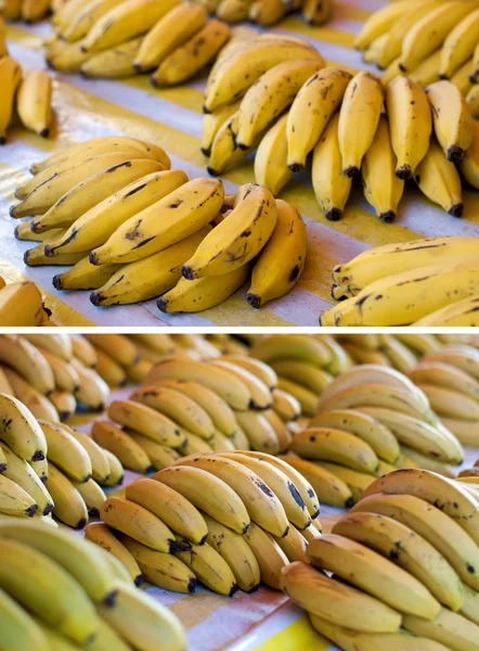 Coleção de bananas — Fotografia de Stock