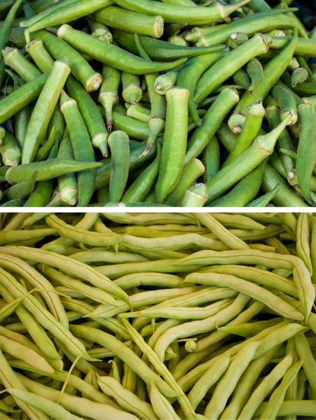 Coleta de legumes okra fim pod — Fotografia de Stock