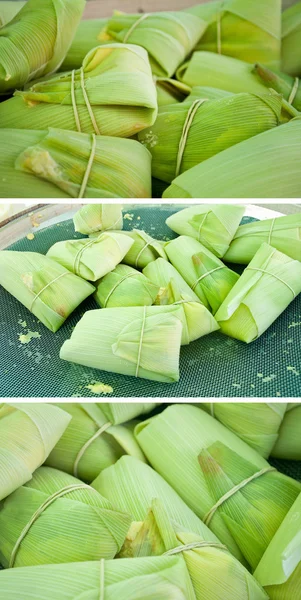 Coleção pamonha - tamale corn — Fotografia de Stock