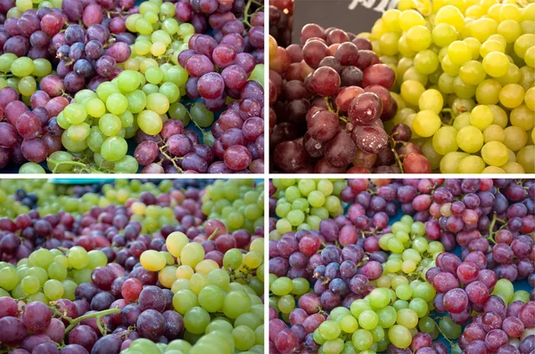 Collection grape — Stock Photo, Image