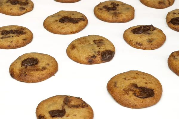 Chocolate Chip Cookies — Stock Photo, Image