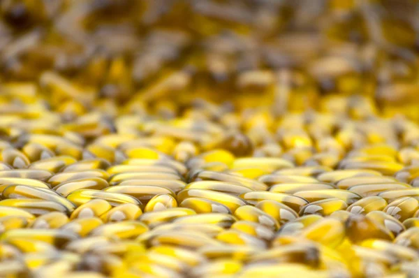 Primer plano del grupo de cápsulas de aceite de coco Selective Focus — Foto de Stock