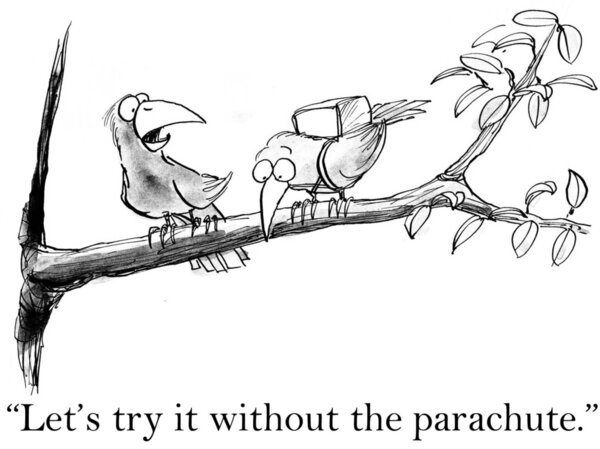 Birds try flying without a parachute