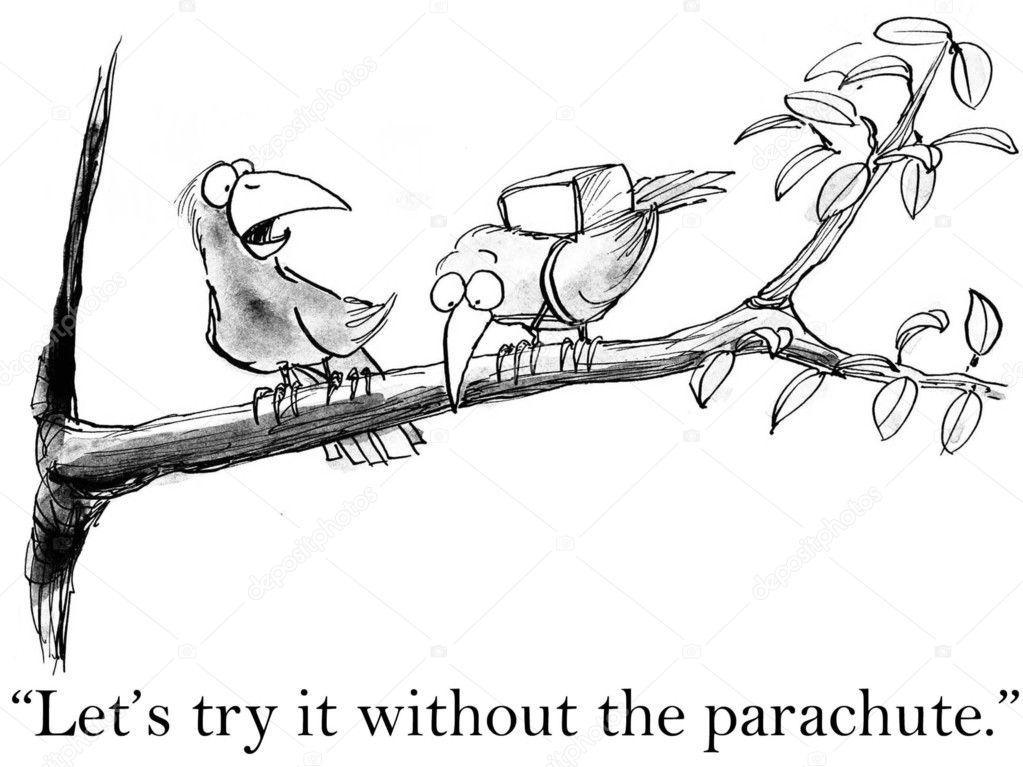 Birds try flying without a parachute