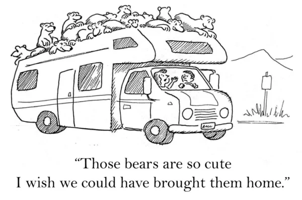 The bears are so cute on trailer — Stock Photo, Image