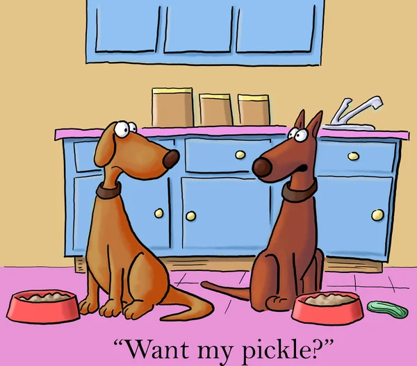 Cão veio para desfrutar do pickle — Fotografia de Stock