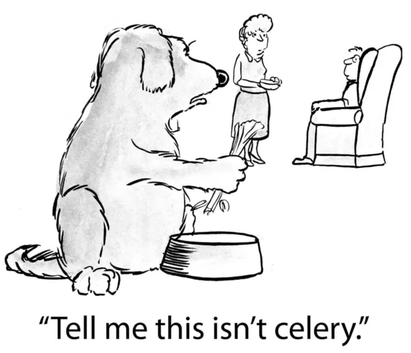 The dog does not like celery food — Stock Photo, Image