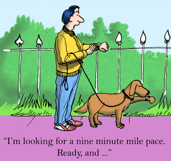 30 минут, чтобы бежать и вернуться к работе.
