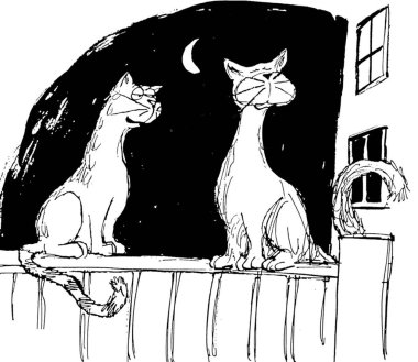 bir kedi ile diğer konuşmak üzerinde ısrar ediyor.