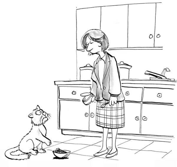 Al gato no le gusta la comida en el plato. — Foto de Stock
