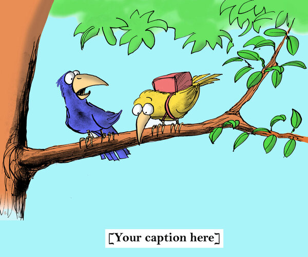 Let's try it once without the parachute