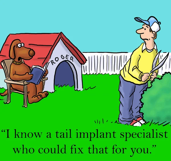 Pies wie specjalista implantu — Zdjęcie stockowe