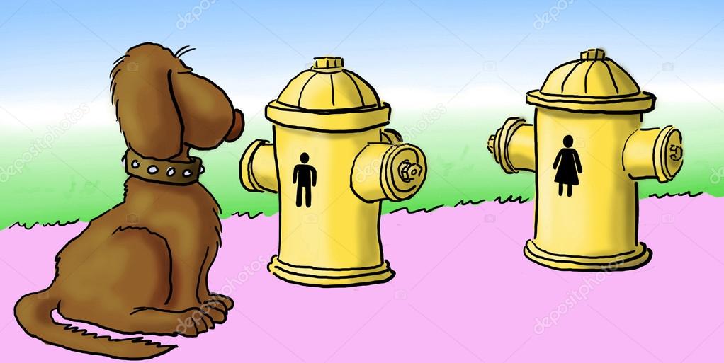 Dog Chooses A Fire Hydrant Stock Photo Image By C Andrewgenn 21421295